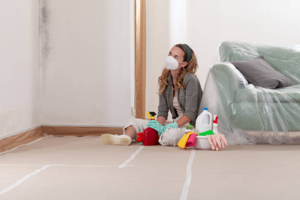 Reliable Basement Mold Remediation contractor in Aquasco, MD by WQB Mold Removal